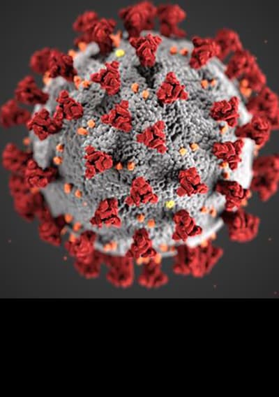 COVID-19 Virus